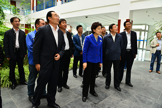 市市长都伟,玉门市市委书记雒兴明一行到公司甘肃区域风电场调研指导